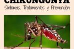Chikungunya - Síntomas, Tratamientos y Prevención | Yosoymami.com