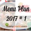Menu Plan 2017-1 | @yosoymamipr
